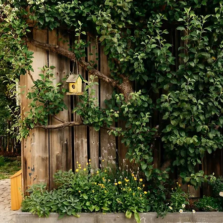 Hallstatt-haus Elfriede 公寓 *