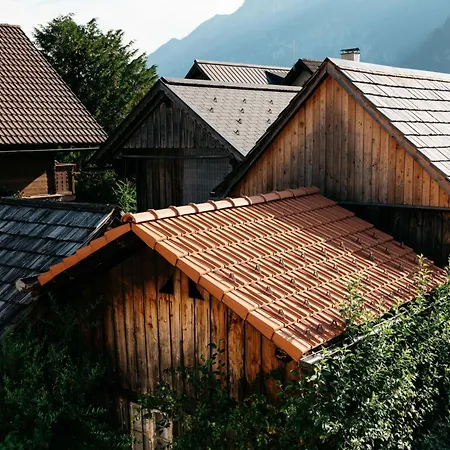公寓 Hallstatt-haus Elfriede 哈尔施塔特