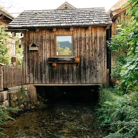 公寓 Hallstatt-haus Elfriede